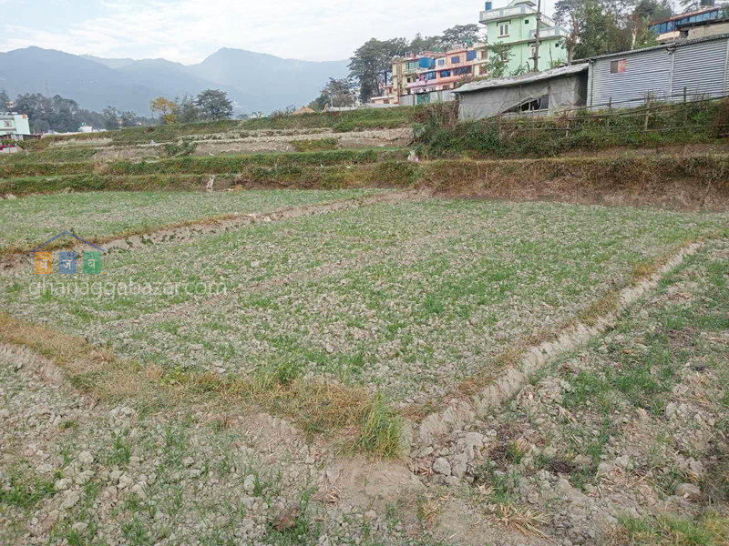 Picture of Tokha Municipality, Bagmati